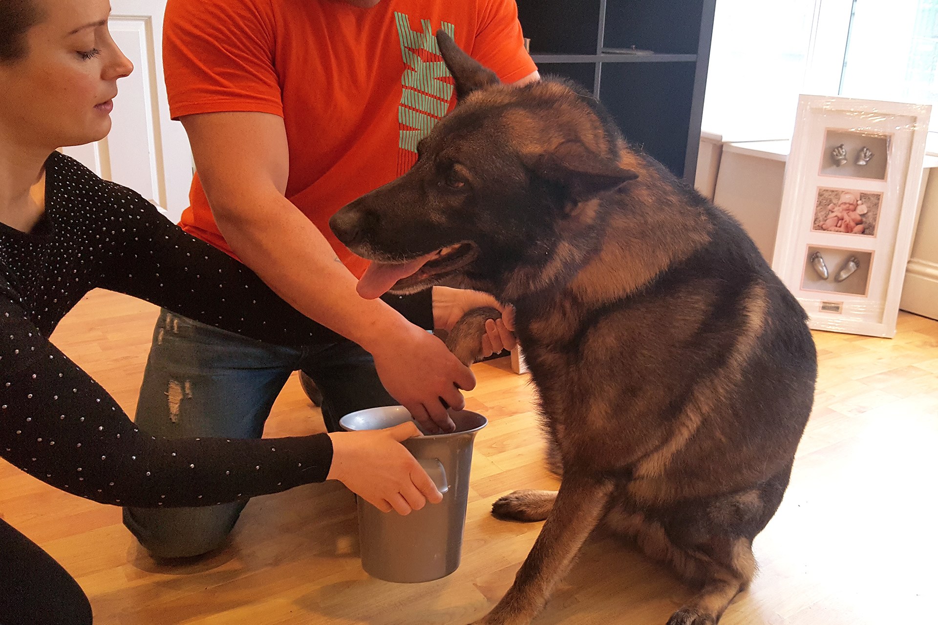 happydogcastingliverpool5 Baby Casts & Prints