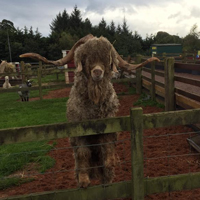 Dalscone Farm Fun, Dumfries