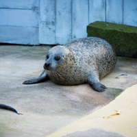 Deep Sea World, North Queensferry